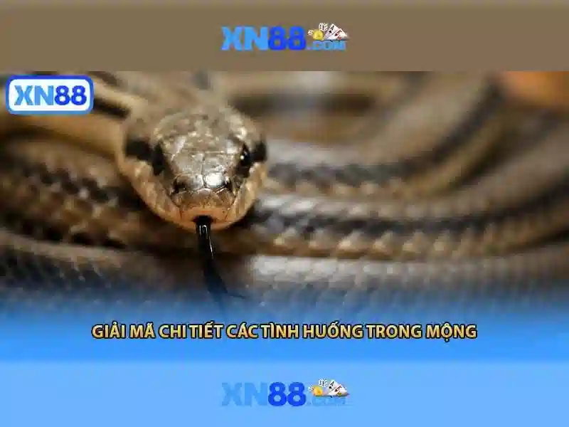 xn88 store – Giới thiệu và trải nghiệm thương hiệu
