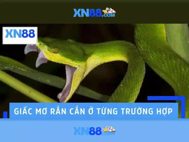 xn88 ampleur.jp – Tổng quan và trải nghiệm tối ưu