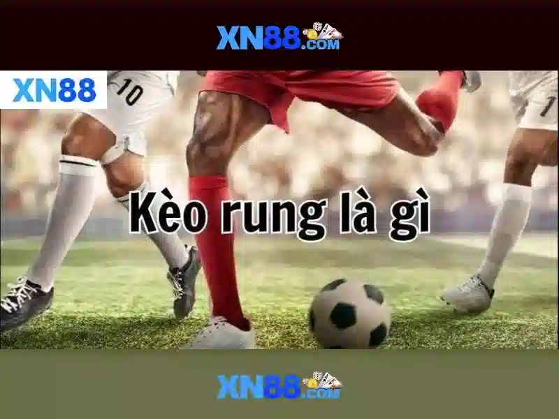https://xn88.se.net/images/text/xn88/xn88-text260312136.webp