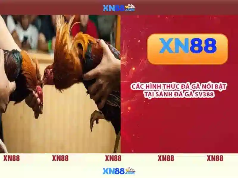 https://xn88.se.net/images/text/xn88/xn88-text260312170.webp