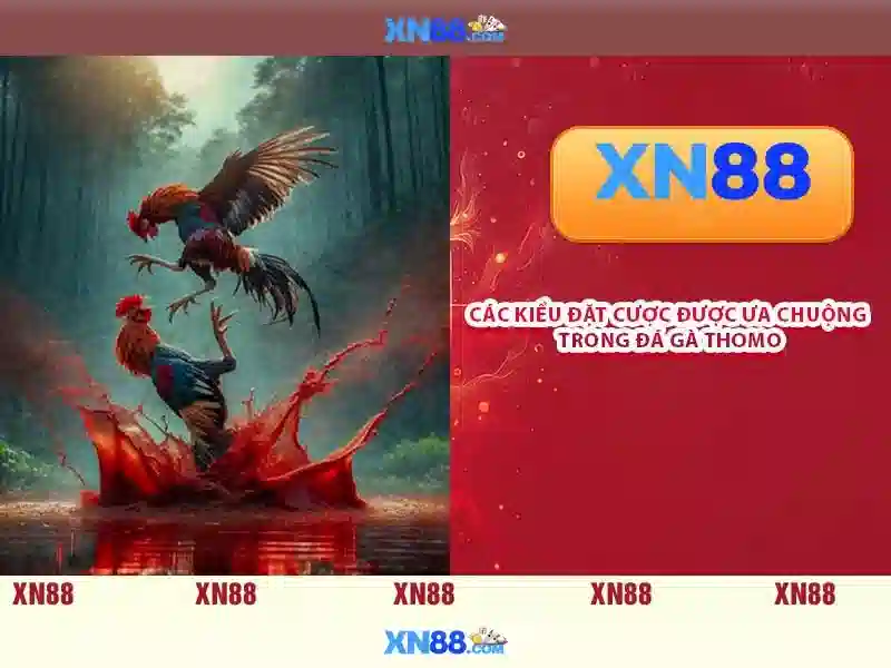 https://xn88.se.net/images/text/xn88/xn88-text260312173.webp