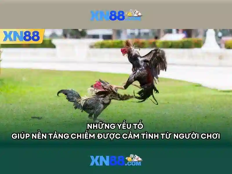 https://xn88.se.net/images/text/xn88/xn88-text2603121861.webp