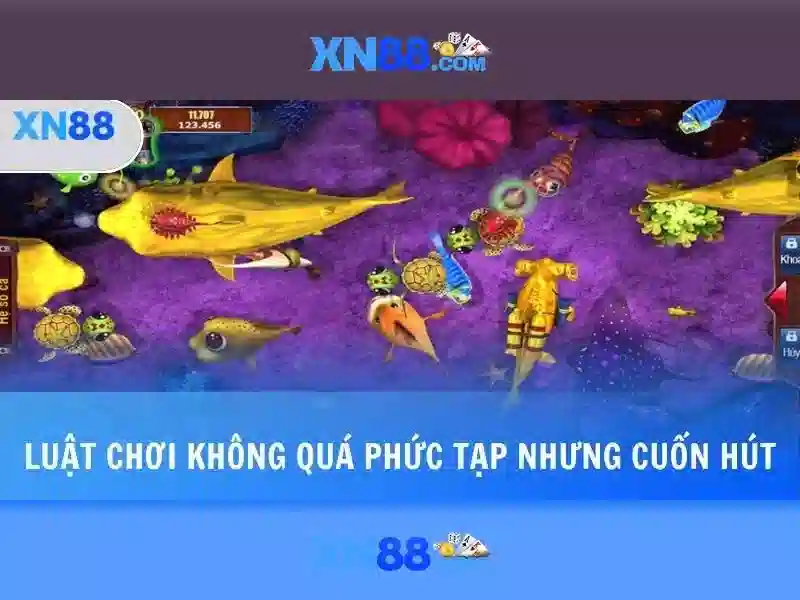 https://xn88.se.net/images/text/xn88/xn88-text260312414.webp