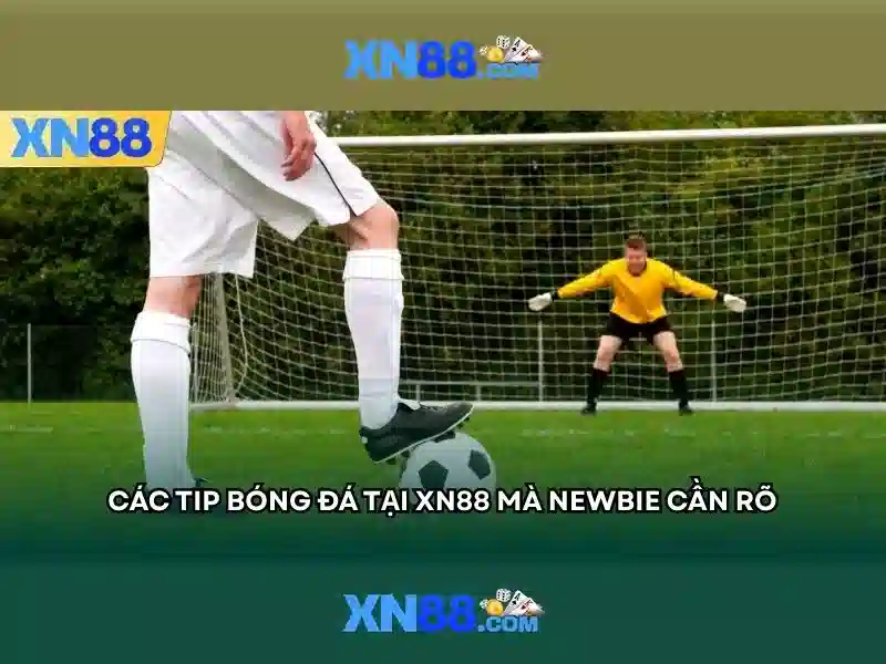 Giới thiệu về xn88: Nền tảng trò chơi trực tuyến