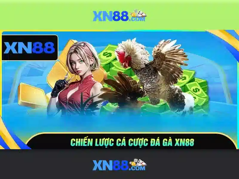 https://xn88.se.net/images/text/xn88/xn88-text260312751.webp