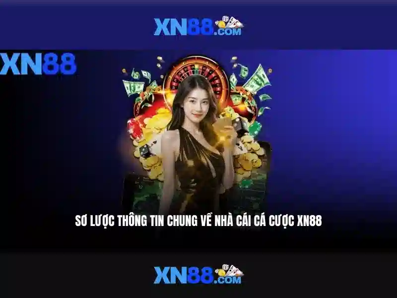 https://xn88.se.net/images/text/xn88/xn88-text2603302339.webp