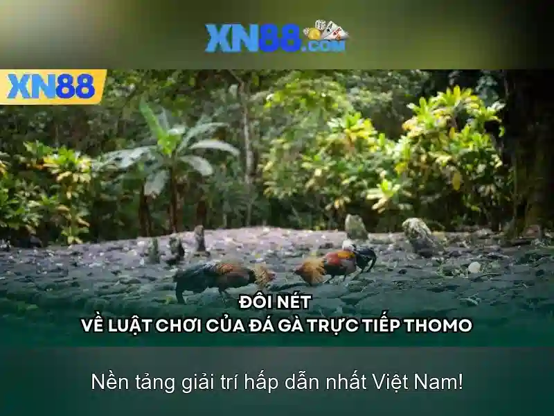 https://xn88.se.net/images/text/xn88/xn88-text2603311856.webp