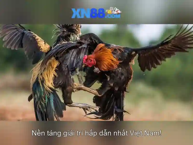 https://xn88.se.net/images/text/xn88/xn88-text2603312238.webp