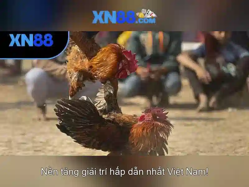 https://xn88.se.net/images/text/xn88/xn88-text2603312425.webp