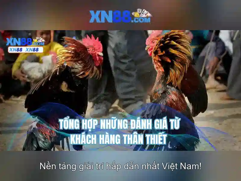xn88 – Nền tảng chơi game trực tuyến an toàn và tiện lợi