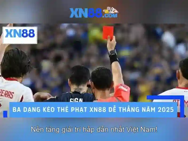 https://xn88.se.net/images/text/xn88/xn88-text260331623.webp